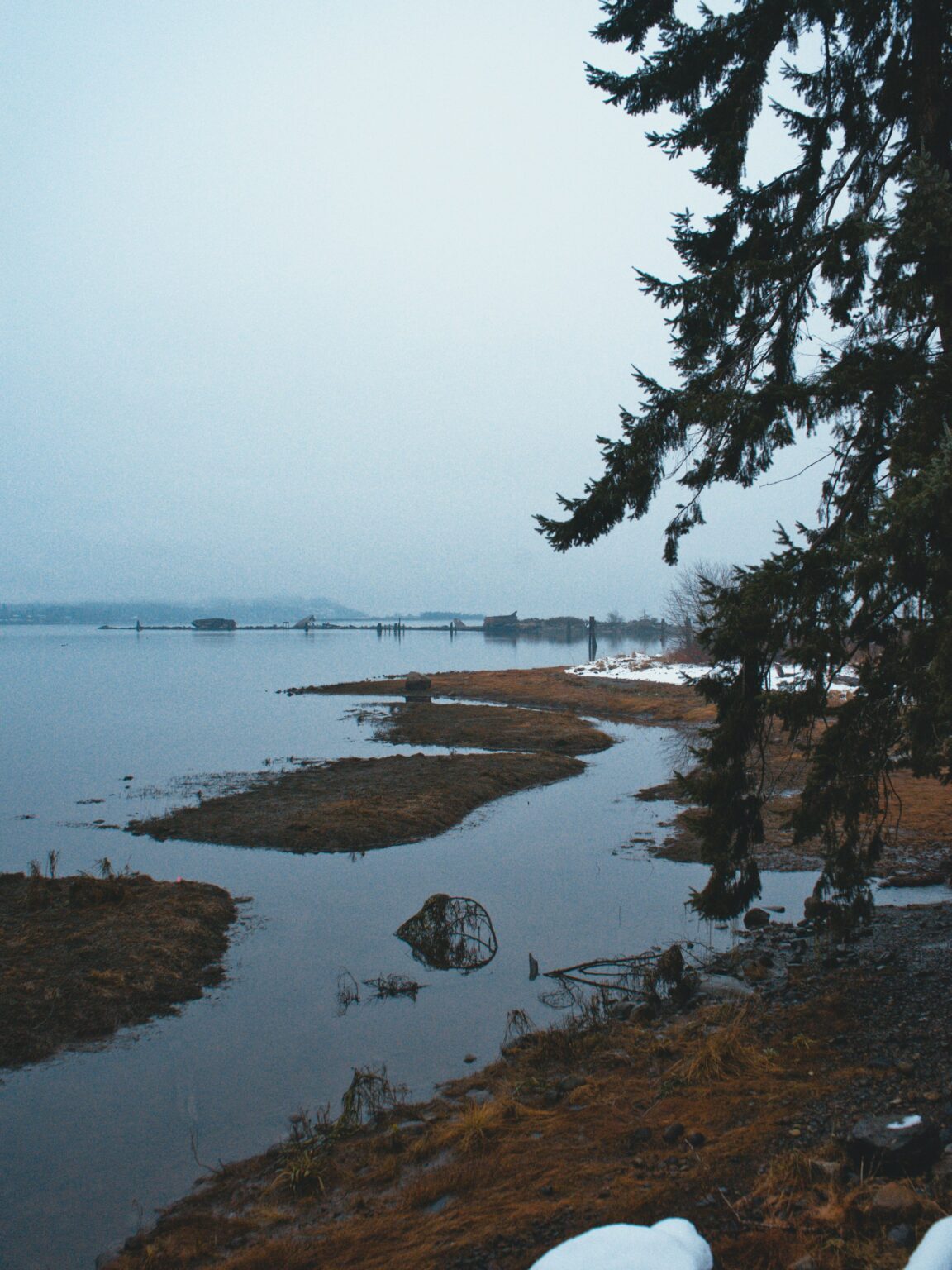 Royston shoreline in the Comox Valley