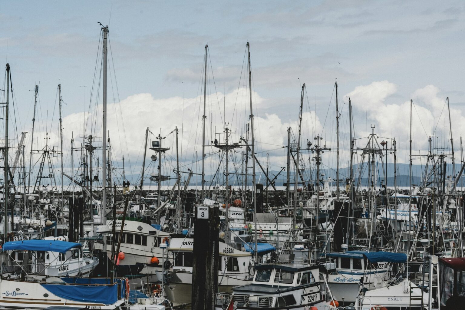 Marina near Parksville