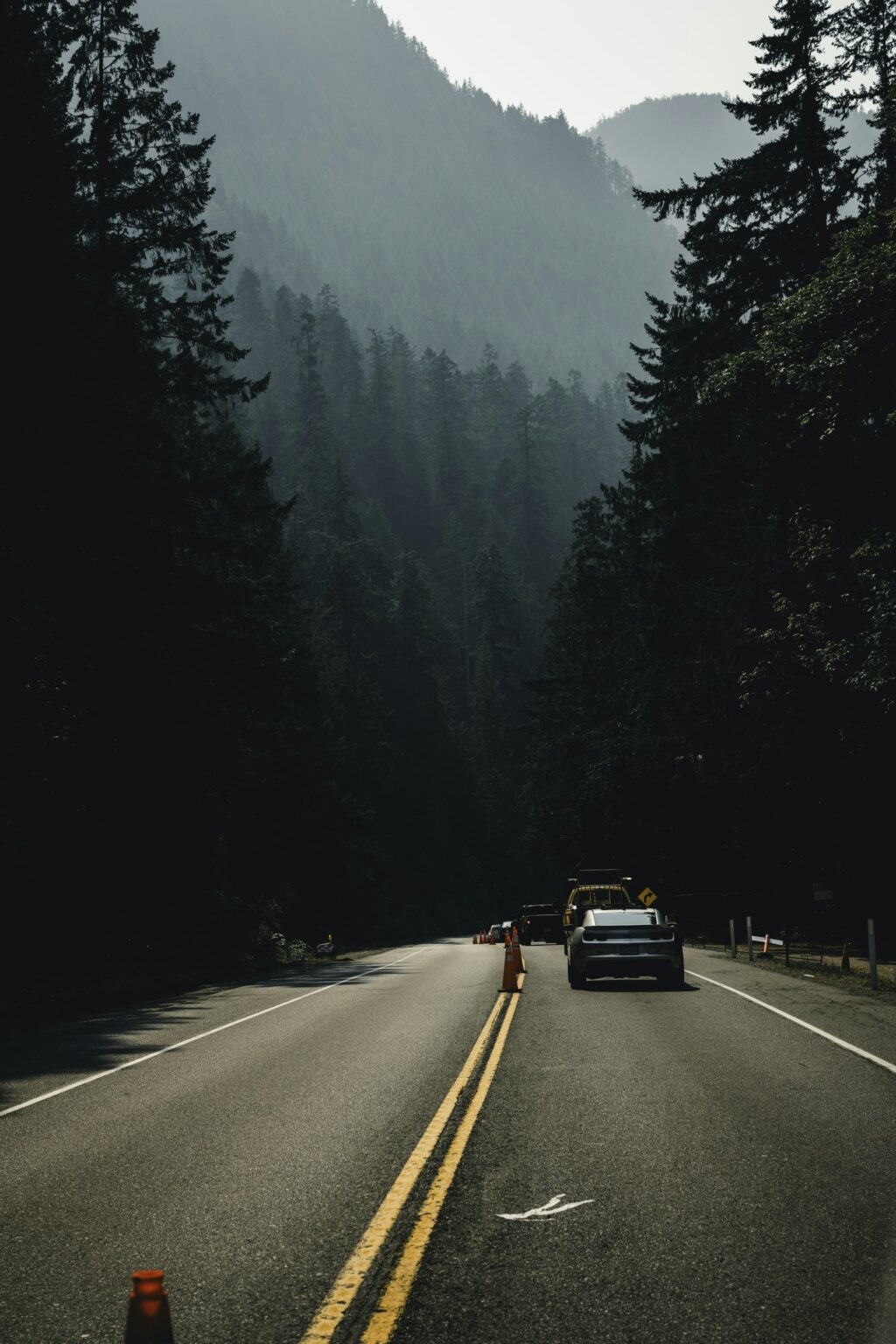 The road to Port Alberni