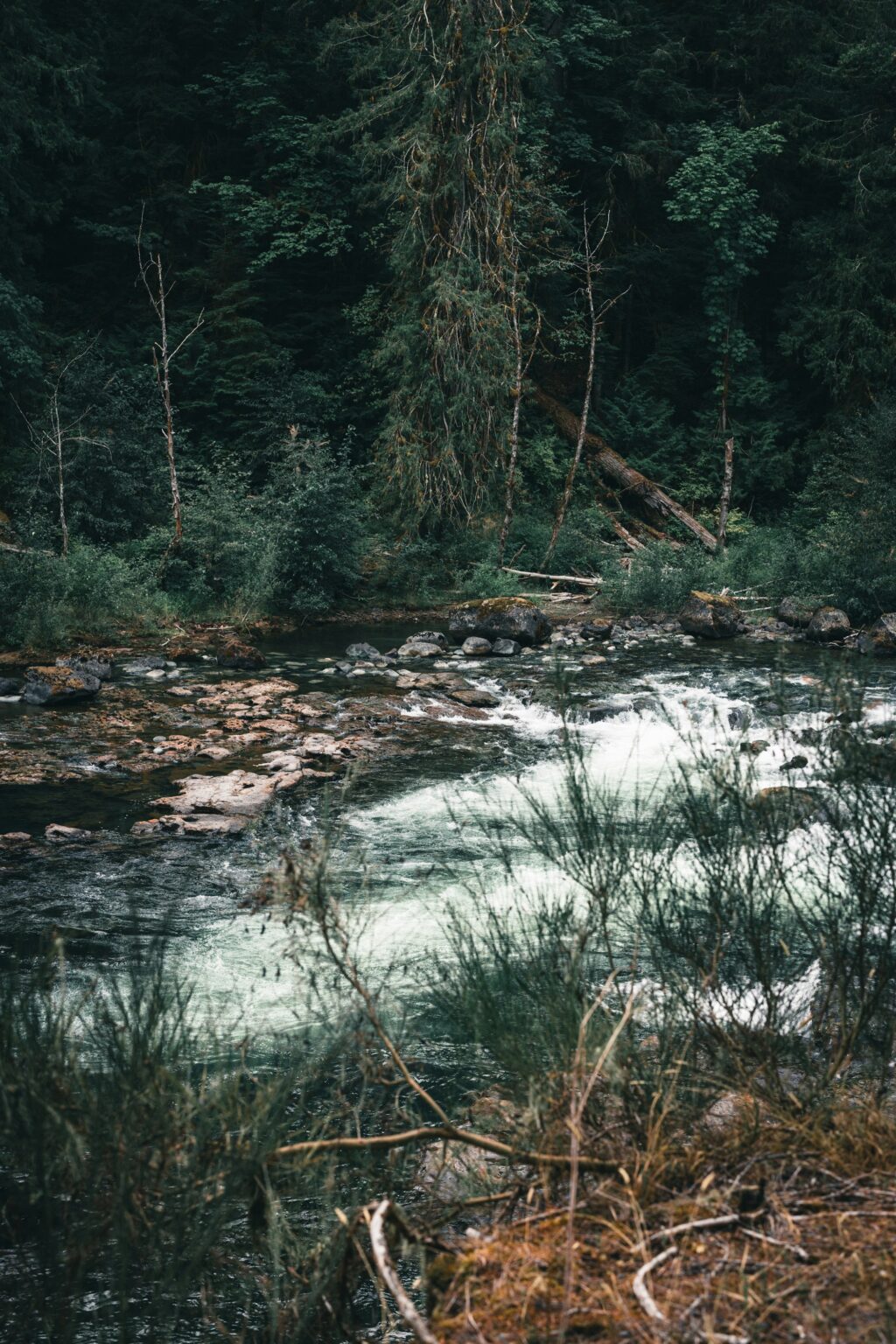 Stamp River Provincial Park near Port Alberni